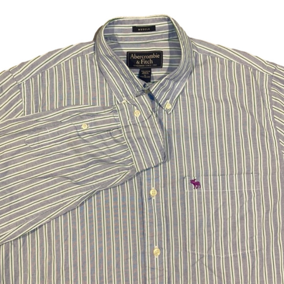 Abercrombie & Fitch Blue and Green Pinstripes Muscle Fit Long Sleeve Button-Down - Picture 1 of 4